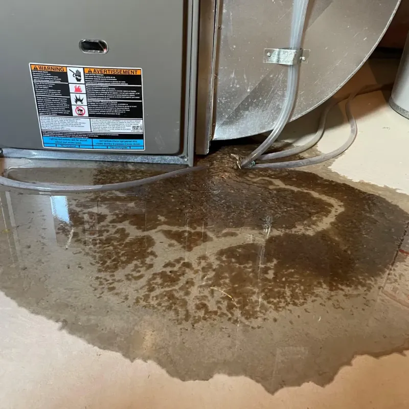 Appliance Leak Cleanup in Marcus, IA